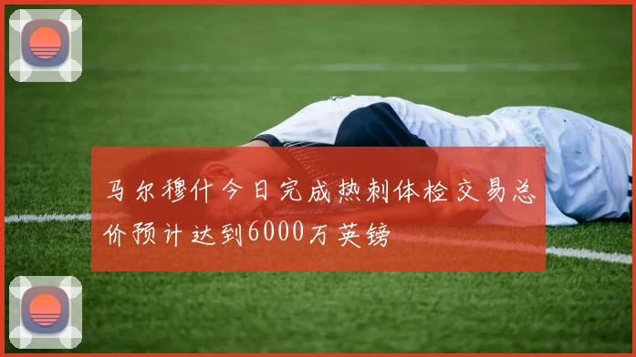 马尔穆什今日完成热刺体检交易总价预计达到6000万英镑